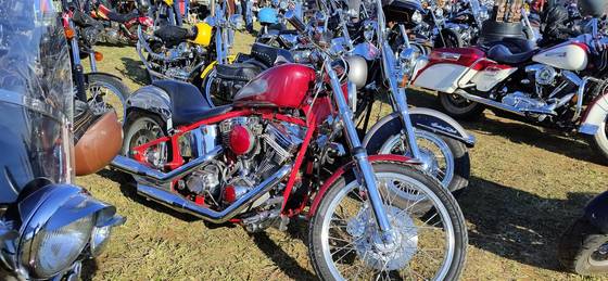 HARLEY-DAVIDSON FX 